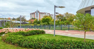 Профессиональное озеленение улиц в Ахтубинске в октябре