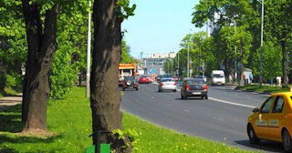 Посадка деревьев и кустарников в Ахтубинске — стоимость от 1243 руб.